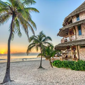 alaya-tulum.quintano-roohotels.com/