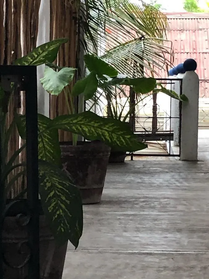 Vandrarhem Emotion Avenida Tulum Hotel & Hostal Mexiko
